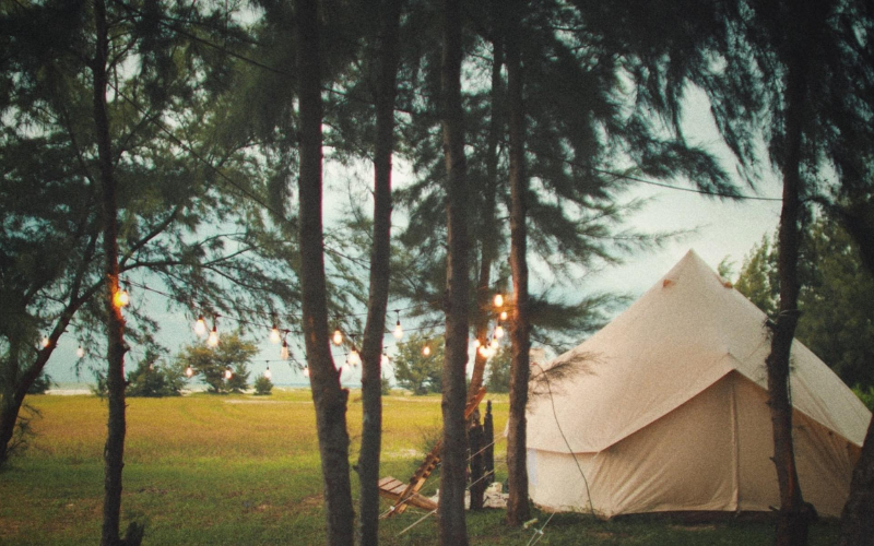 Đi Bụi Camping