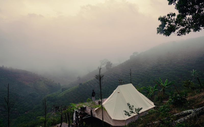 Đi Bụi Camping