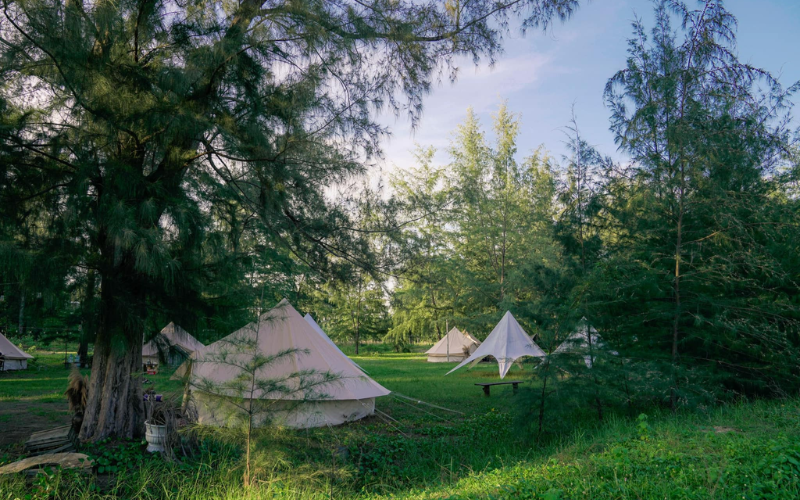 Đi Bụi Camping