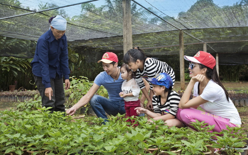 cắm trại madagui