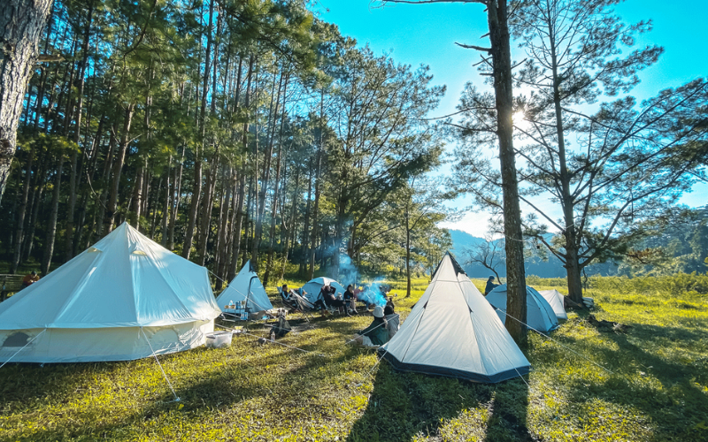 camping và glamping